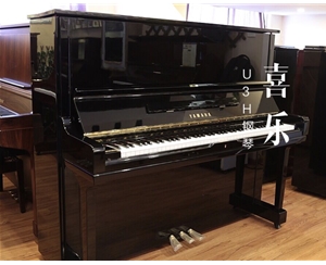 雅马哈-U3H月租300